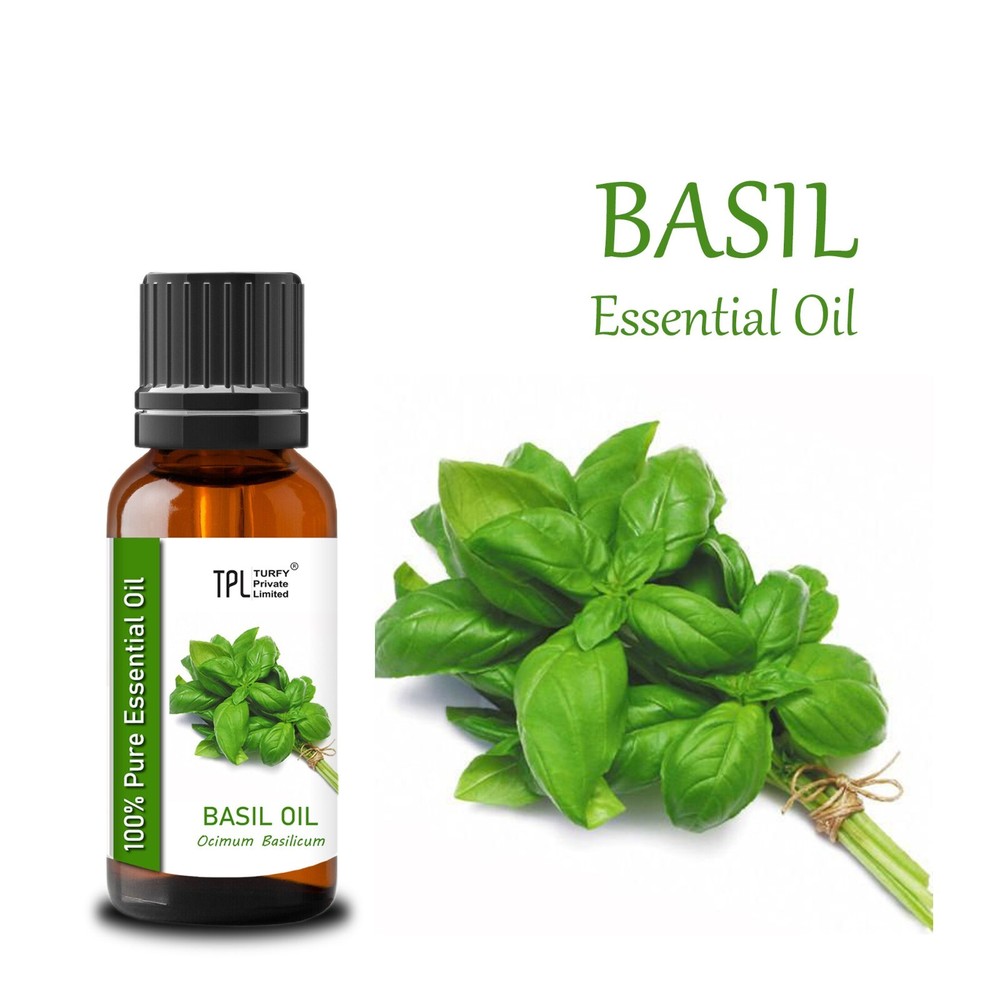 100% Pure Natural Basil Essential Oil 20ml Therapeutic Grade
