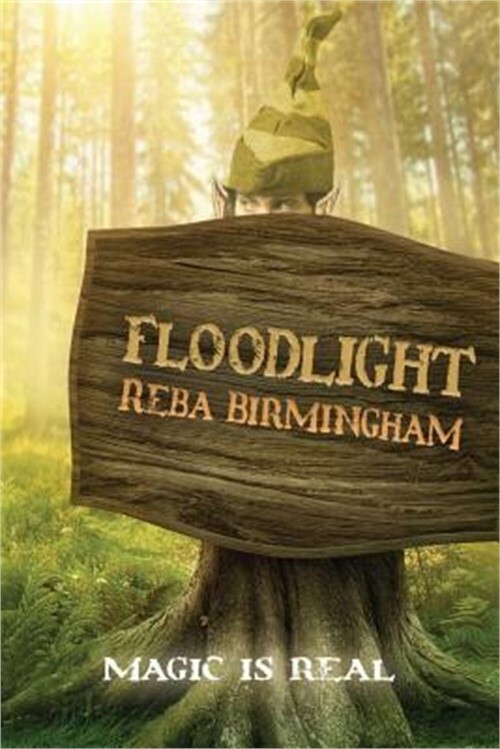 Floodlight Hercynian Forest Series Book 1 by Reba Birmingham 2018 Trade Paperback