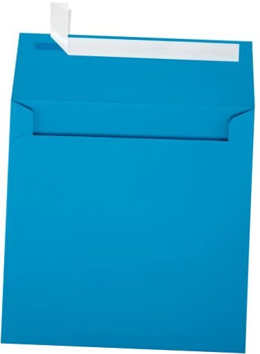 LUXPaper Square Invitation Envelopes | Peel & Press | 6