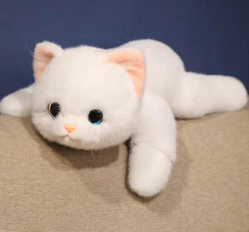 White Kitten Cat 12