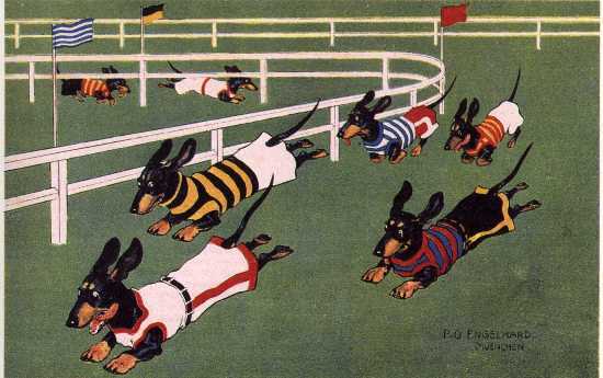 Dachshund Racing L - CUSTOM MATTED - Dog Art Print - German / NEW