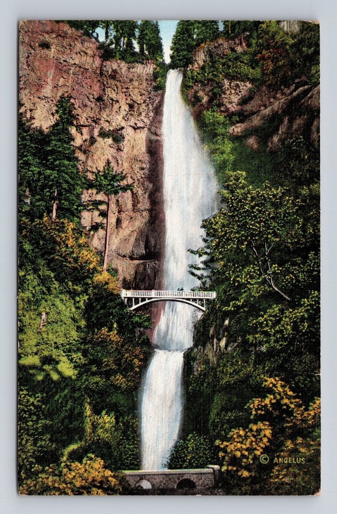 Vintage Postcard of Multnomah Falls Foot Bridge on Columbia River Highway Oregon  