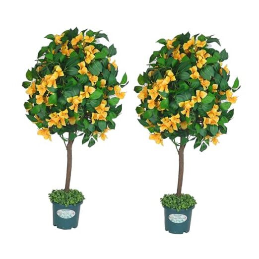 3.7ft Tall Artificial Bougainvillea Silk Tree with Decorative Planter