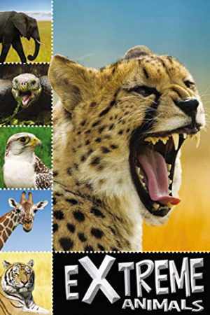 Extreme Animals (Ready To Read) - Paperback, by Creese Sarah - Acceptable