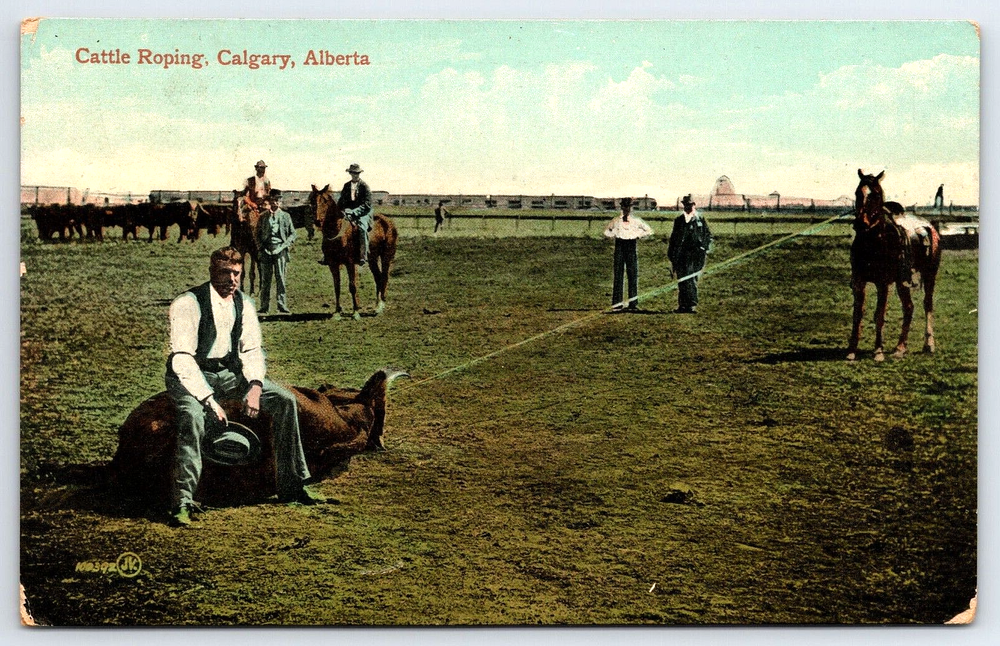 Original Old Vintage Antique Postcard Men Cattle Roping Calgary Alberta Canada