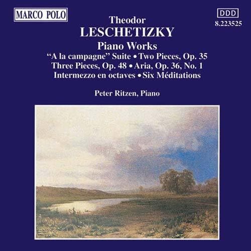 Peter Ritzen Piano Works (Rizen) (CD) Album