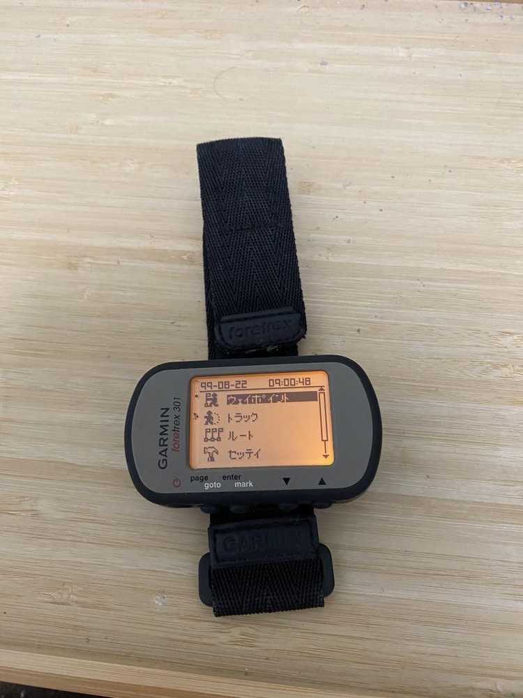 Garmin 301 Series GPS Device in Black  