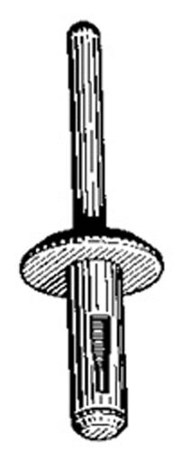 AMZ Clips And Fasteners 3/16