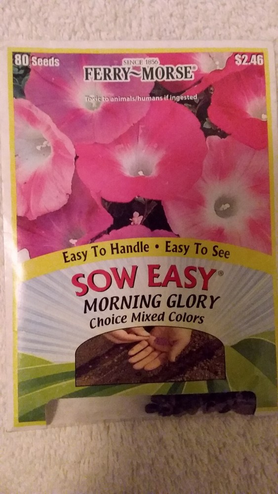 Morning Glory Flower Seeds - 14 days to germination 12/22