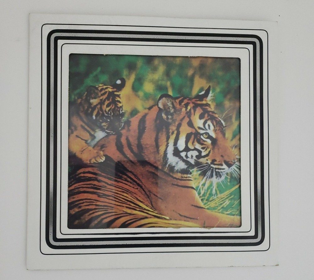 Vintage 1980's Carnival Fair Game Prize Glass Tile -Bengal Tigers RARE 🐅