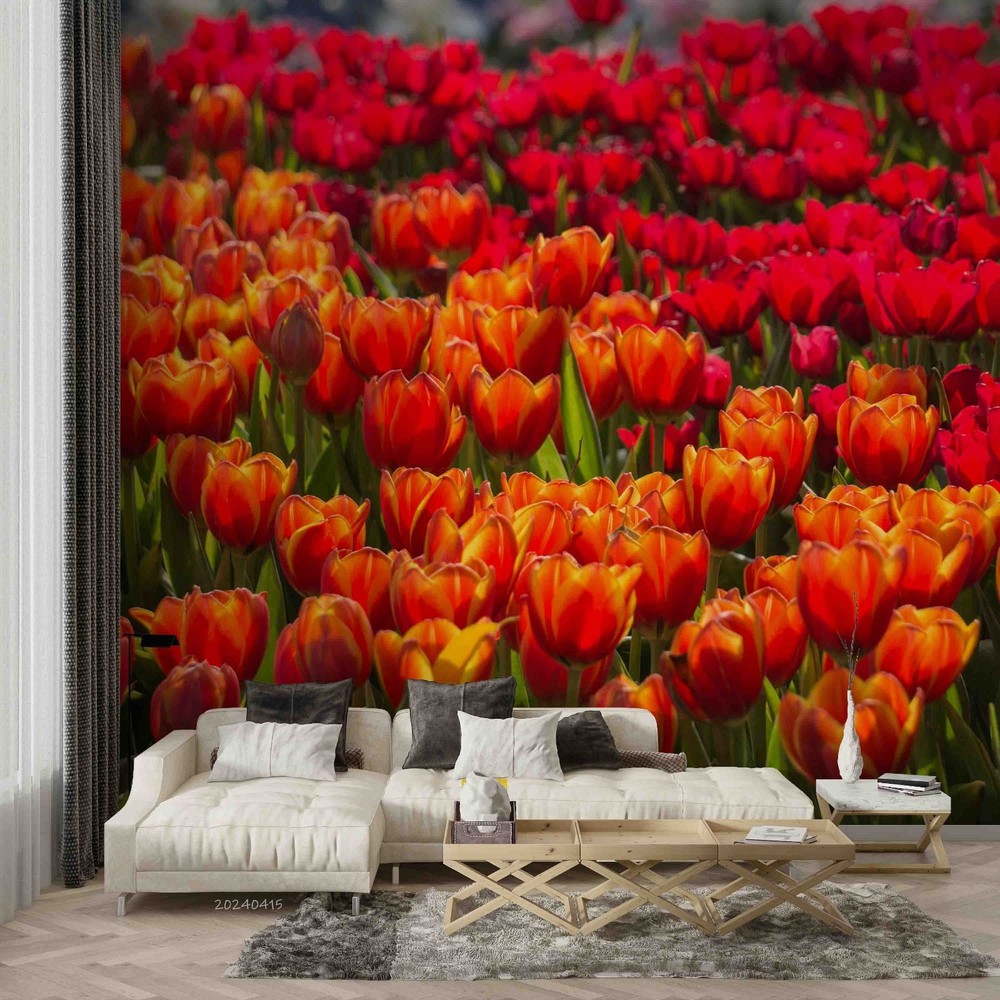 3D Red Orange Tulip Close-up Wall Murals Wallpaper Murals Wall Sticker