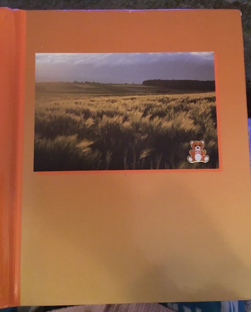 Vintage Sticker Book Album 80s 90s 2000s Sandylion Hallmark AGC Mrs Grossmans