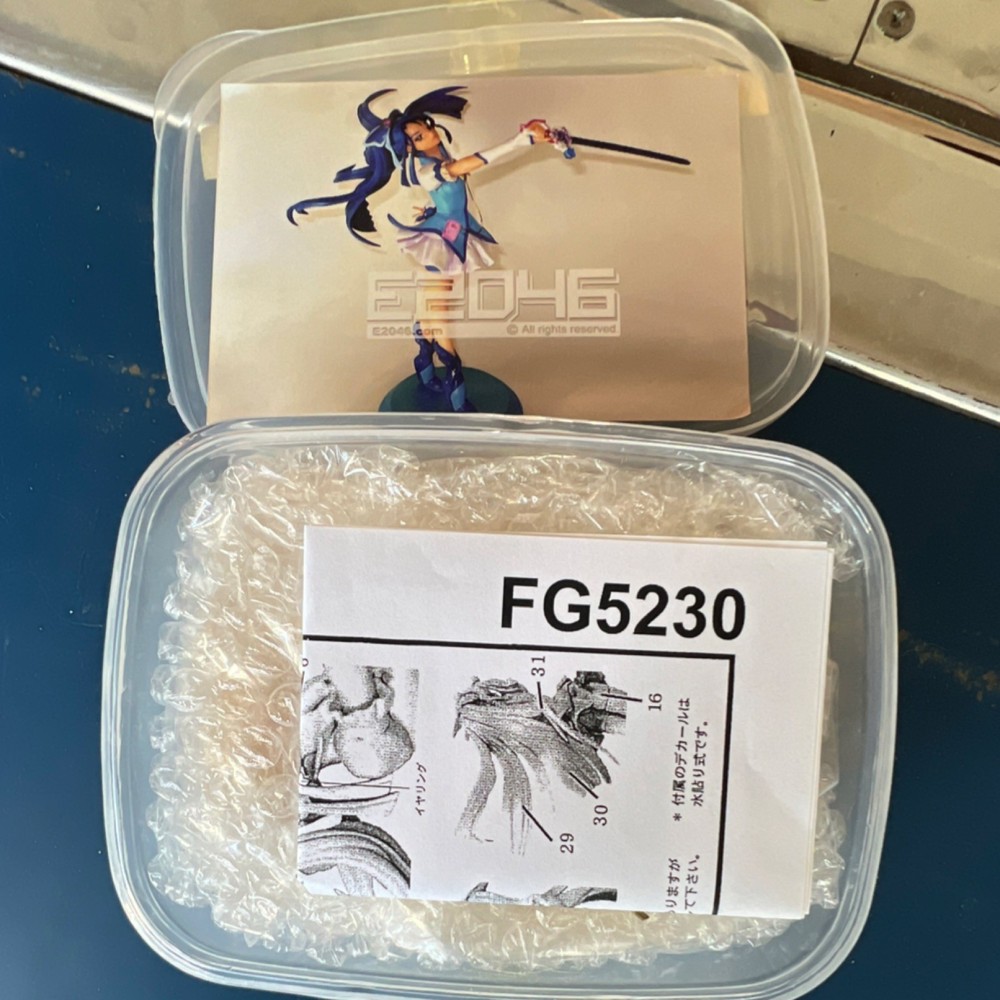 e2046 FG5230 Anime Resin Model Kit Figure Unassembled Single Unit