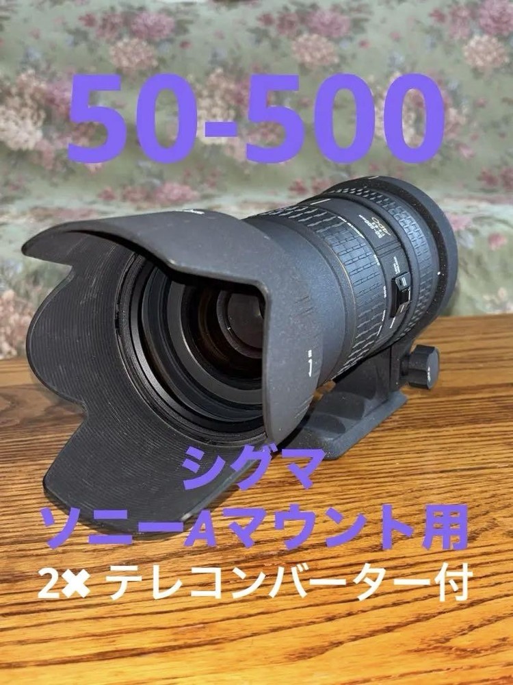 SIGMA APO 50-500mm F4-6.3 EX DG Telephoto Zoom Lens