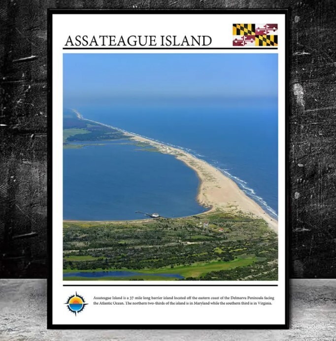 Assateague Island Poster Print Stunning Coastal Photography Vibrant Beach Travel