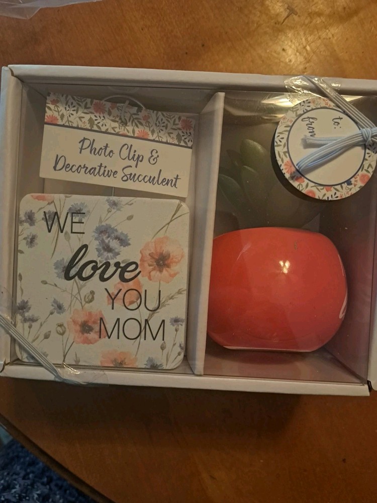 Photo Clip And Decorative Succulent For Mom In A Box