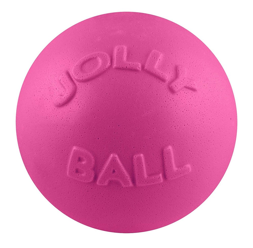 Bounce-n-Play Dog Toy Ball, 6 Inches, Pink, 6 Inches/Medium (2506 PK)