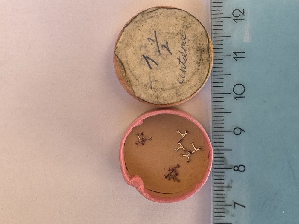 Patek Philippe luxury watch movement with precision anchors