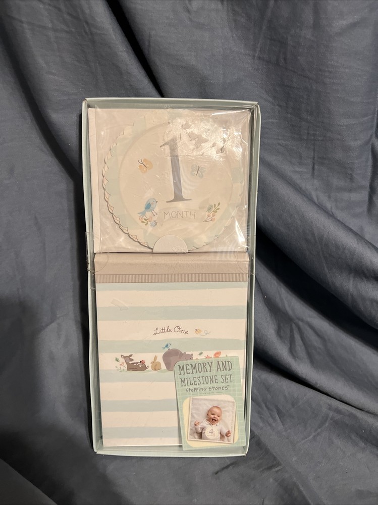 Stepping Stones Baby's First Year MEMORY & MILESTONE SET Album Stickers New