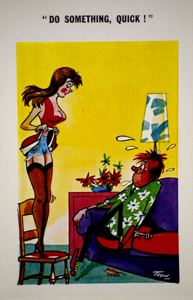 Postcard Seaside Comic Saucy Risqué Nylons Stockings Mouse Trow Constance C 4742