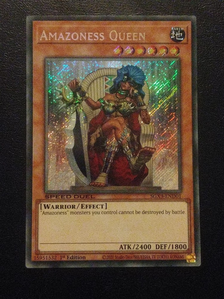 Yu-Gi-Oh Secret Rare Amazoness Queen SGX3-END01 1st Edition NM Holo Card