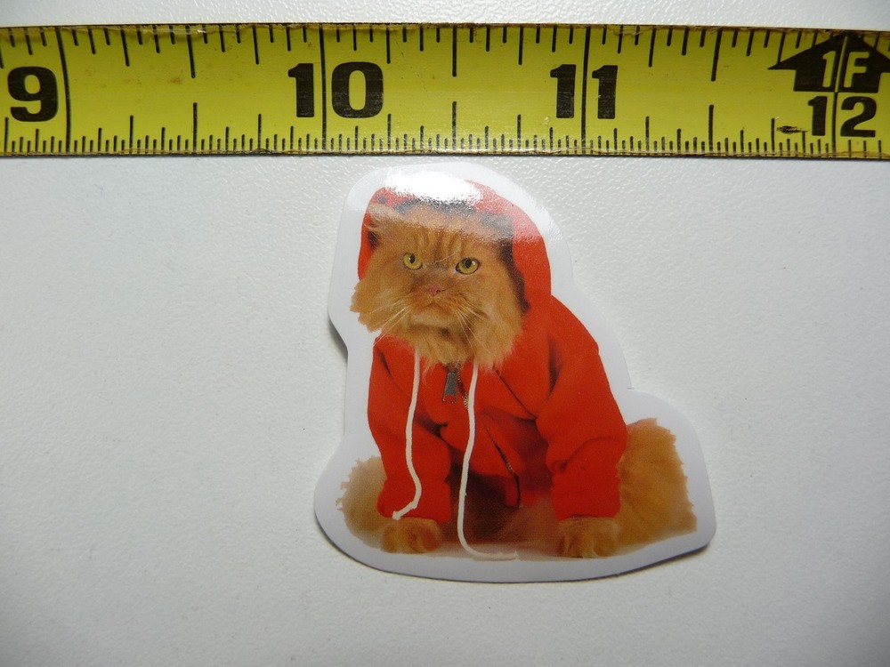 Cute Funny Cat Kitten Fall Decal Sticker for Wall Pet Lovers