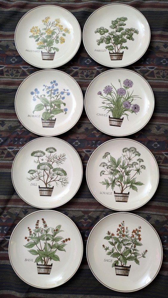 Vintage Set of 8 Herb Plates 8.25 Inch 1950s/1960s