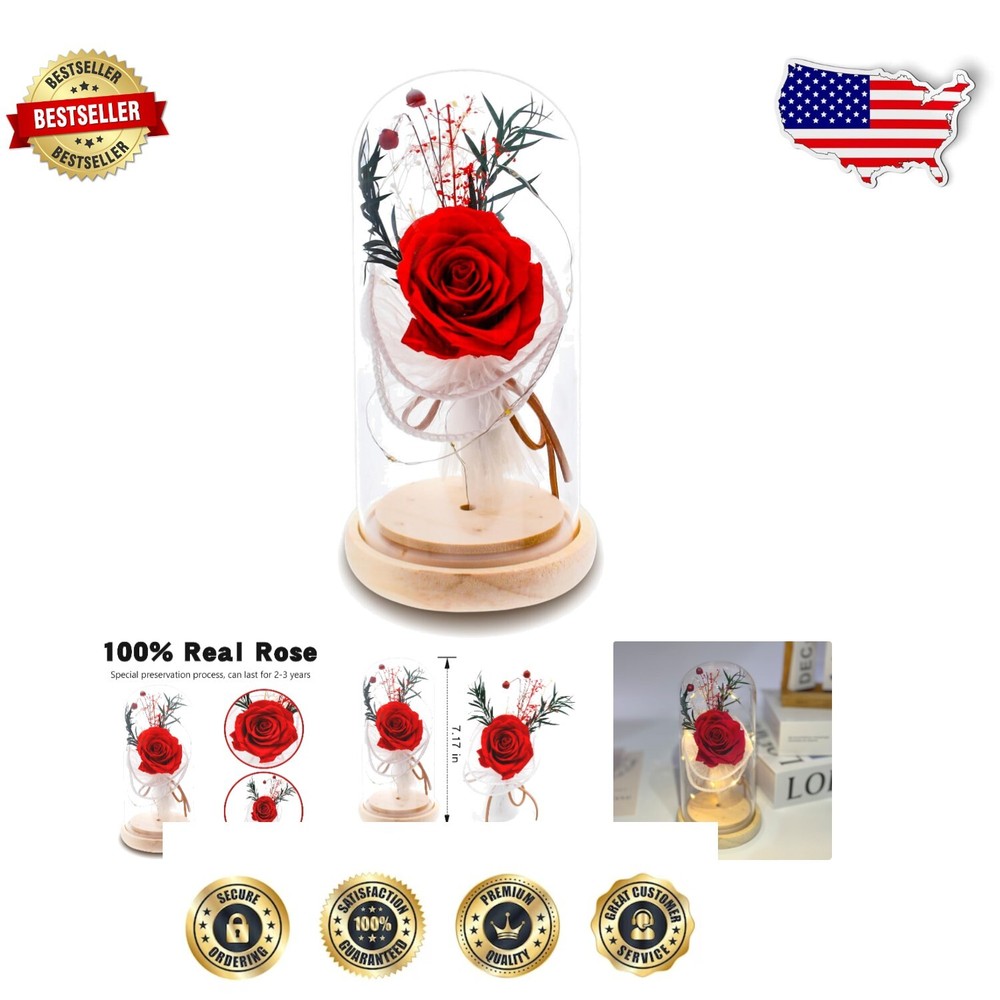 Elegant Rose Flower Gift in Glass Dome - Preserved Red Roses with Soft LED Light