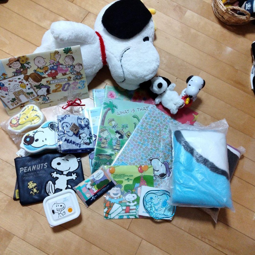 Snoopy Plush Blanket Clear File Pouch Lunch Box Zipper Bag Calendar Figure Set