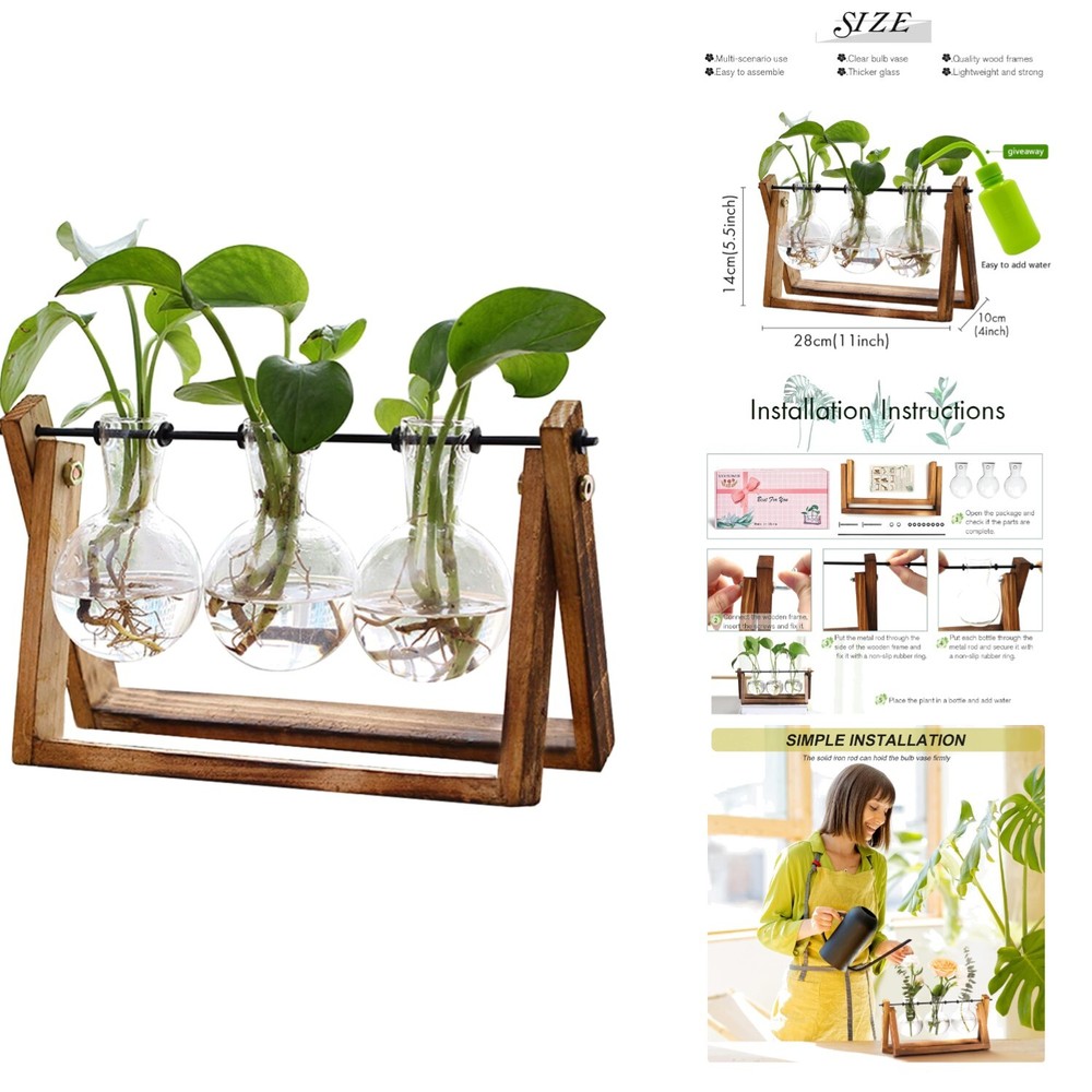 Elegant Plant Terrarium with Rotating Metal Holder - Perfect for Home Offices