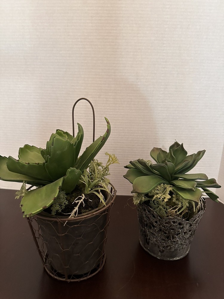 Small Faux Succulents in Decorative Pot for Stylish Home Decor  