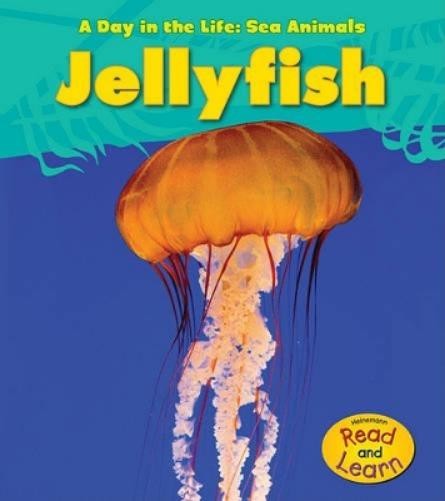 Louise Spilsbury Day in the Life Sea Animals Jellyfish (Paperback)