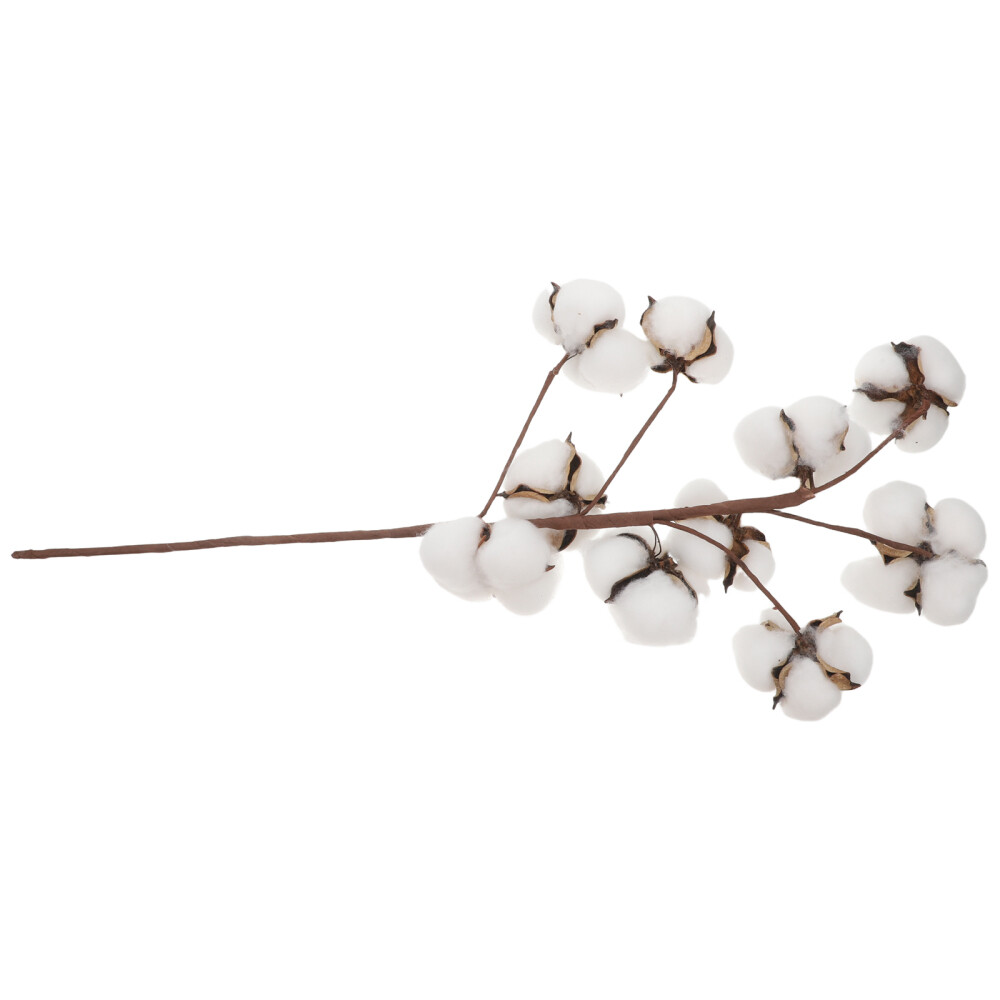 10 Heads Hay Bales for Decoration Gypsophila Farmhouse Style