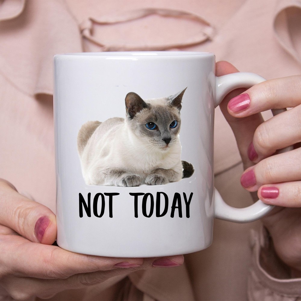 Funny Siamese Cat Seal Point Lying Not Today Cat Mug Lazy Gift For Cats Lovers