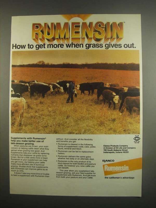 1984 Elanco Rumensin Ad - When Grass Gives Out