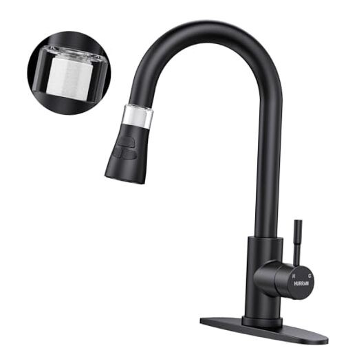 High Arc Matte Black Kitchen Faucet with Pull Down Sprayer and Water Filter
