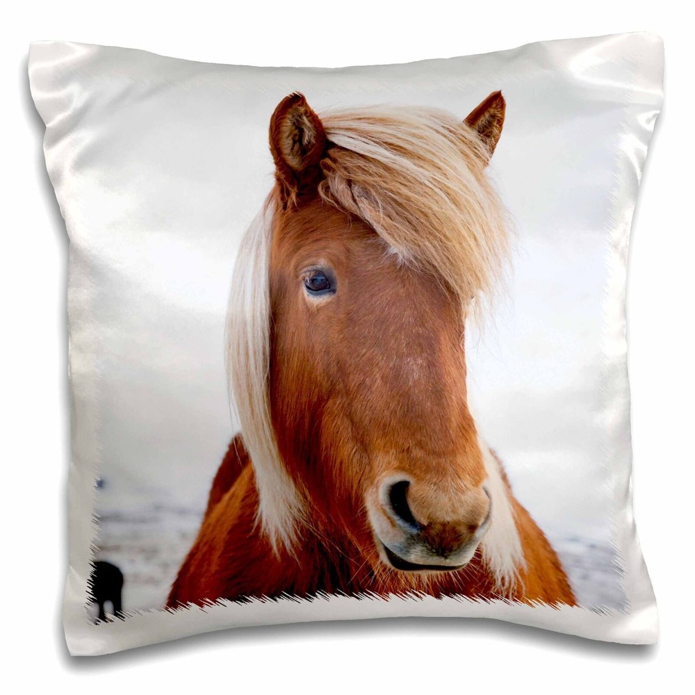 3dRose Iceland - Icelandic horse during winter. 16x16 inch Pillow Case