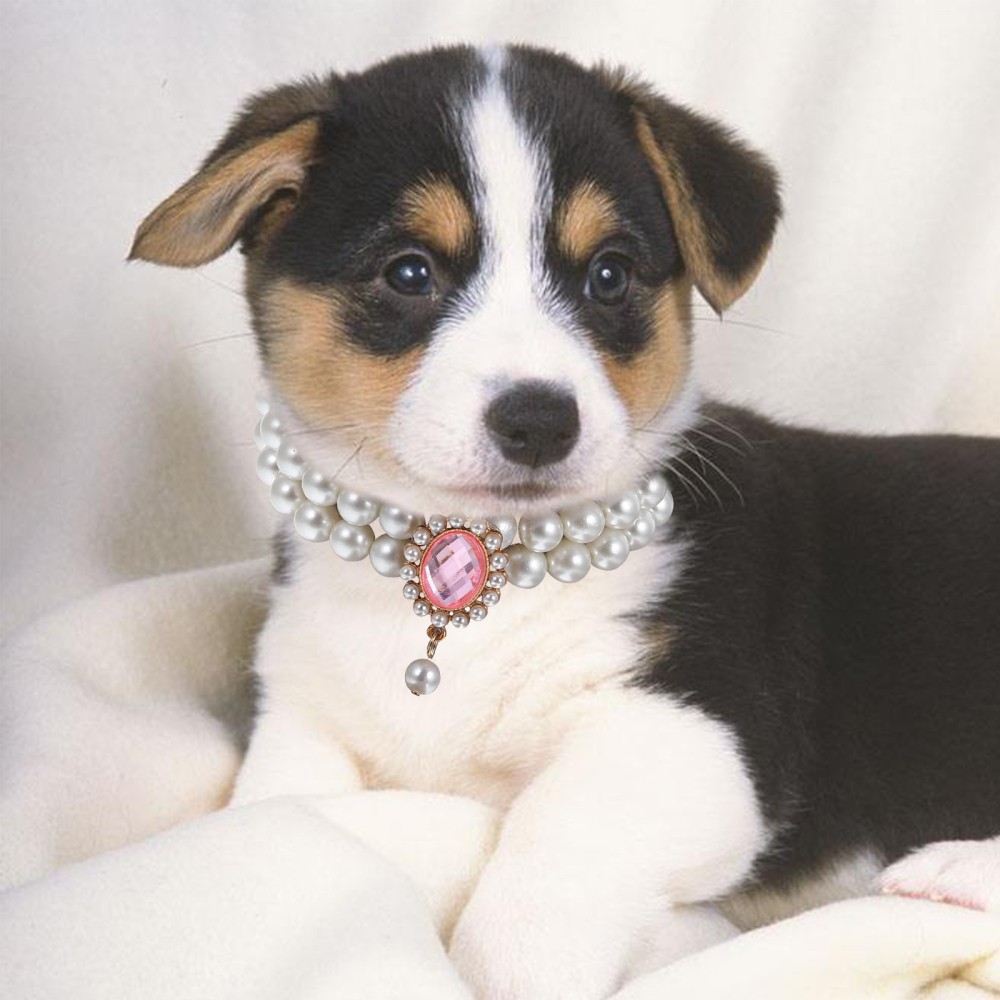 Cute Pearl Pet Necklace for Small Dogs and Kittens