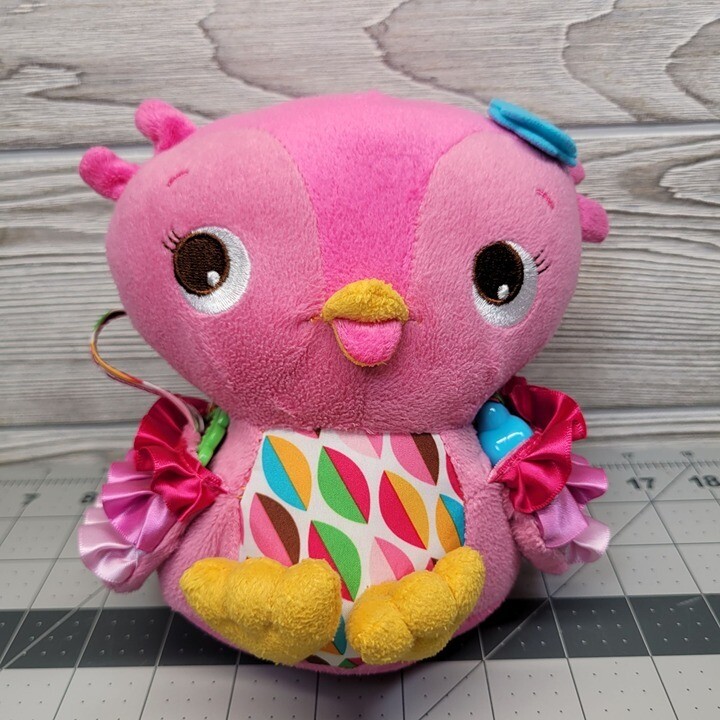 Bright Starts Pink Owl Plush Baby Toy with Wing Pockets Mirror Rattle