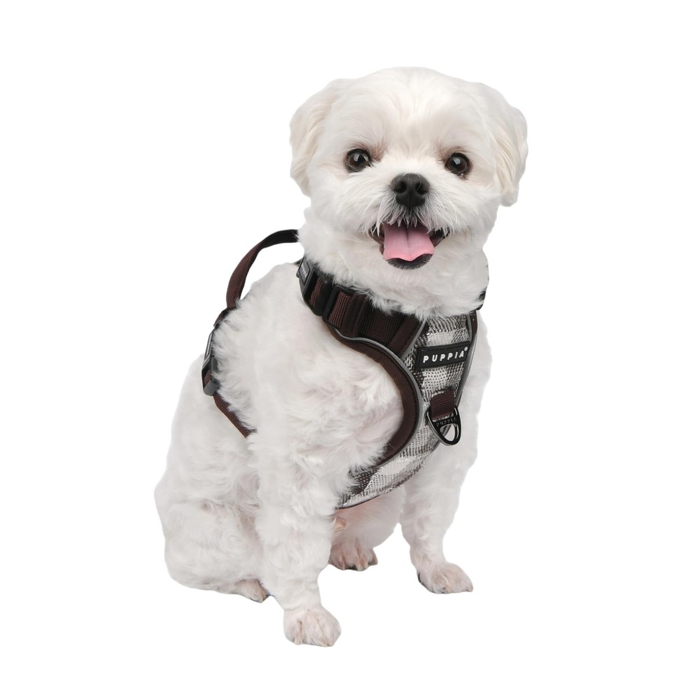 Garrett Dog Harness H Checkered Pattern Sturdy Adjustable Neck and Chest Refl...