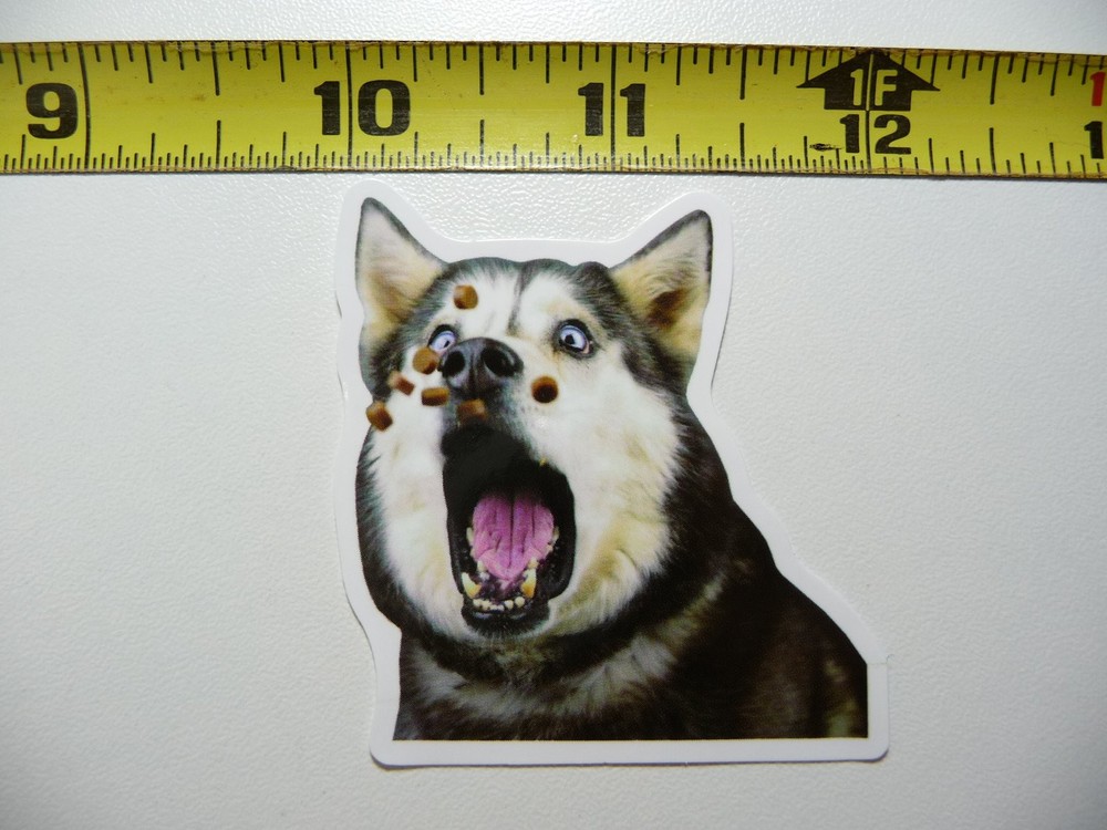 Too Many Treats Funny Dog Decal Sticker for Pet Lovers