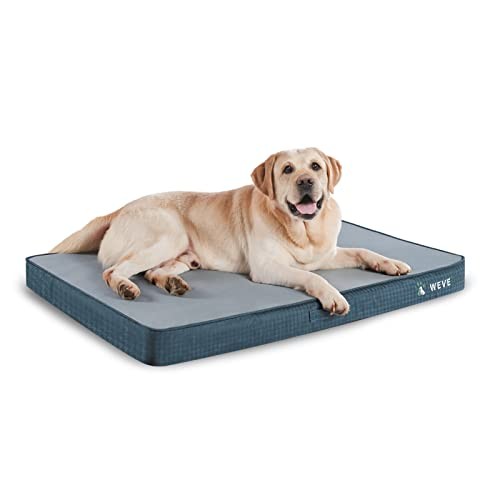 Orthopedic Dog Bed Large 41x29 Inches with Washable Cover Blue