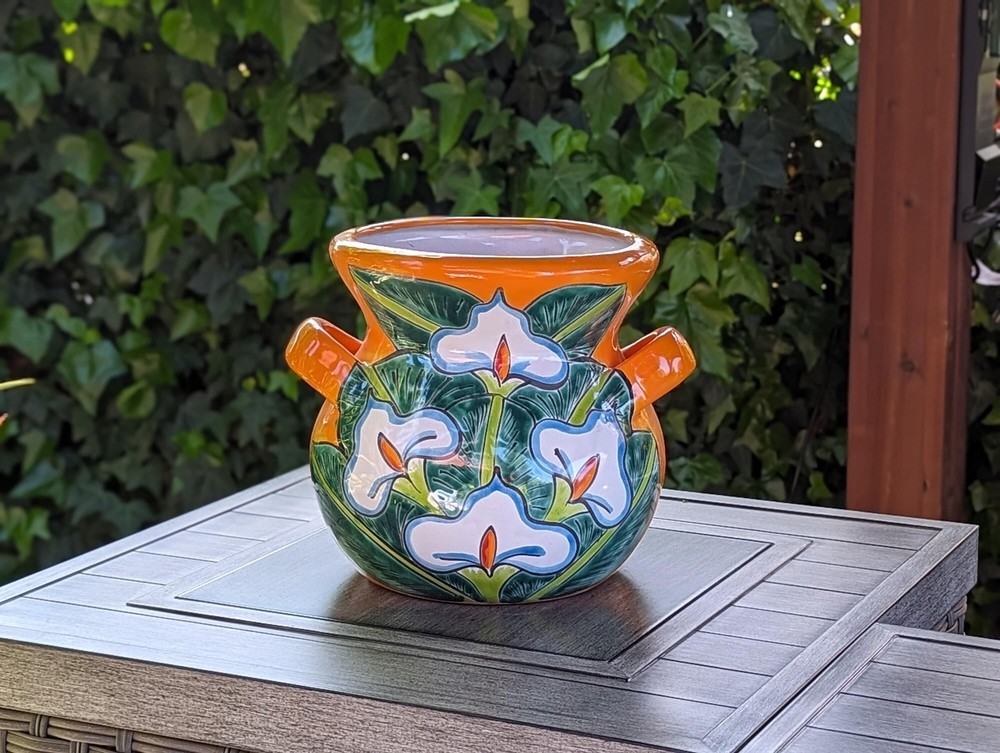 PRESALE | Stunning 10.5