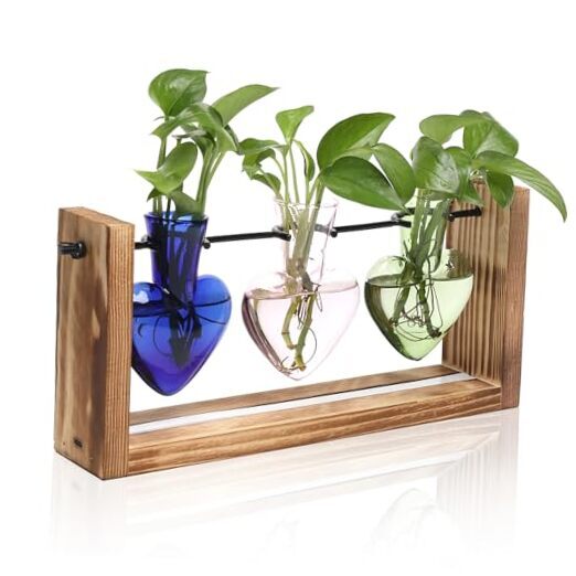 Plants Propagation Stations Wood Wall Planters for Indoor Plants with Color-01