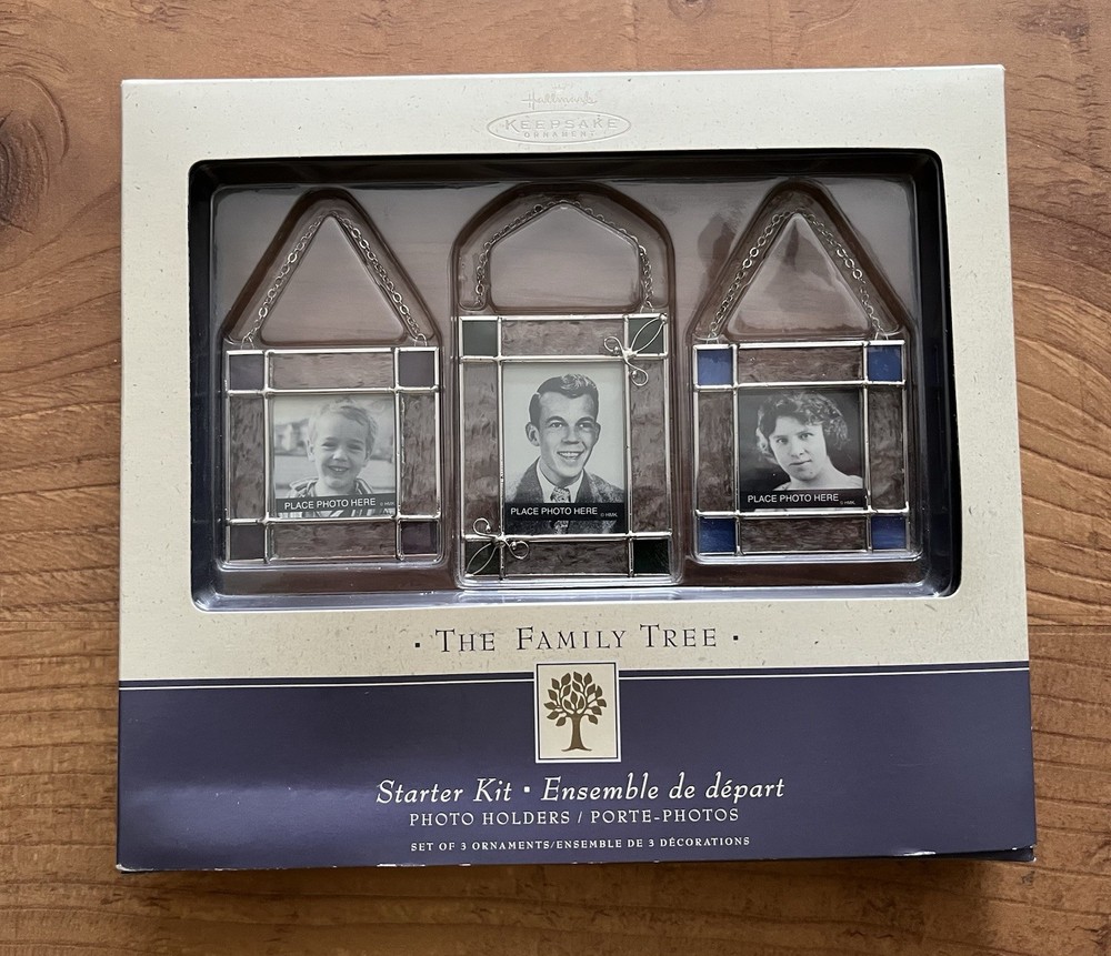 Hallmark Keepsake Family Tree Starter Kit with Mini Stained Glass Frames