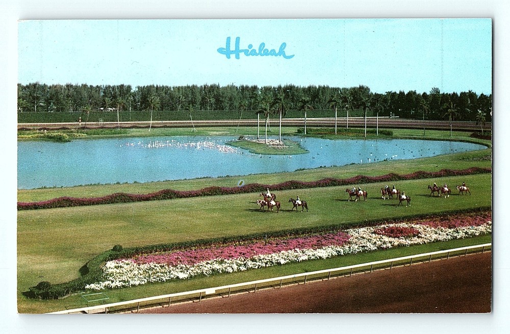 Miami Florida Hialeah Racecourse Horse Racing Grounds Riders Paradin Postcard E5