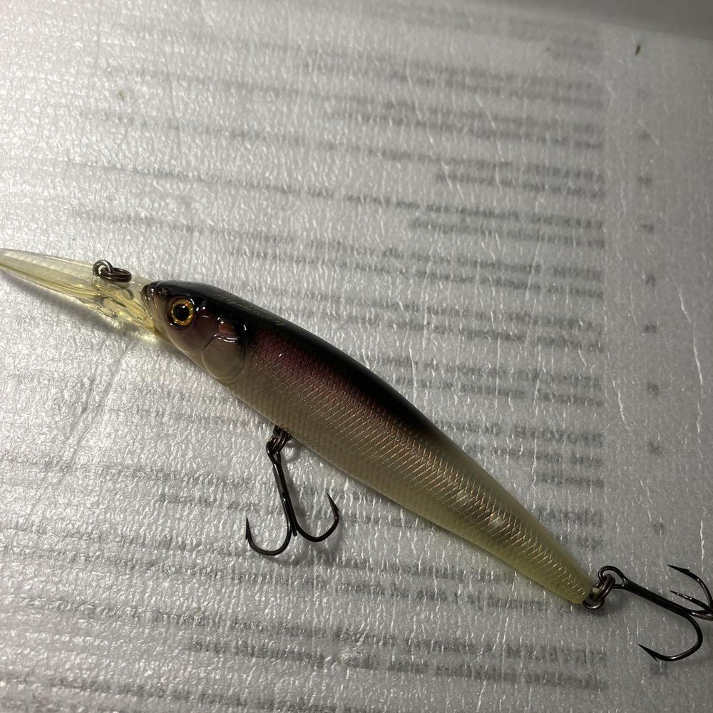 Fishing Lure 2000 Megabass Live X Revenge 1