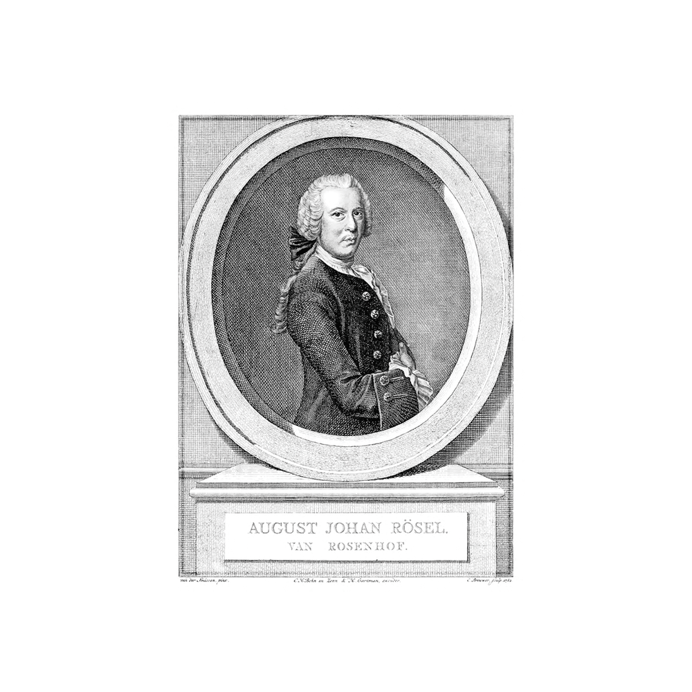 August Johann Rösel von Rosenhof. Der monatlich herausgegebenen Insecten-Be ...