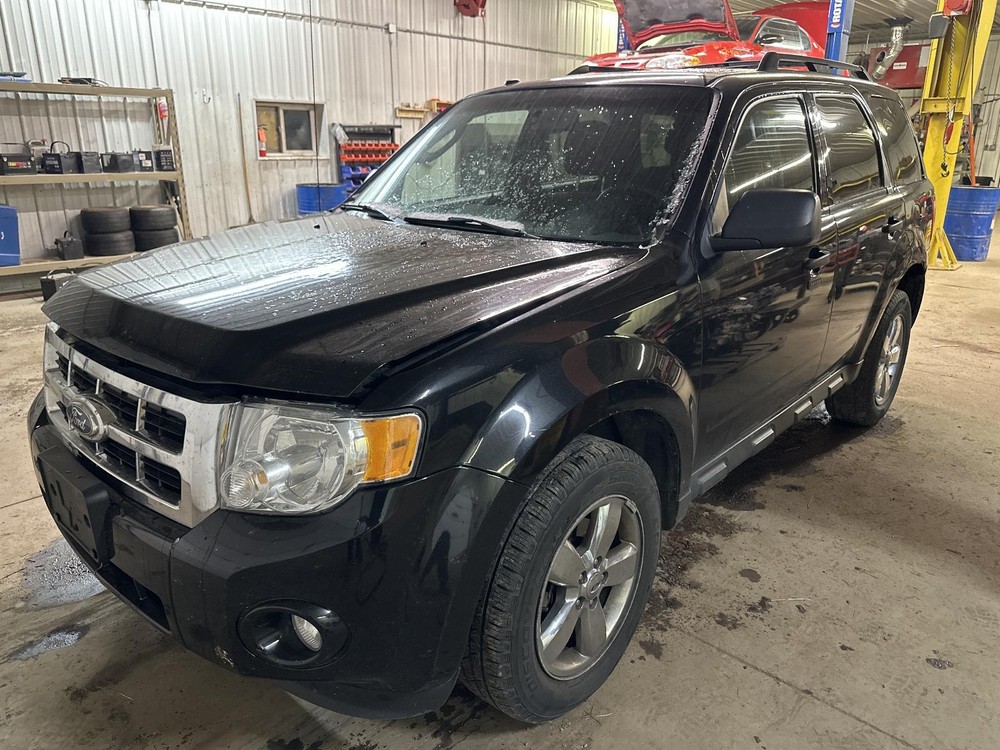 2011 Ford Escape Fog-Driving Light Bumper Mounted Compatible 12/03 On