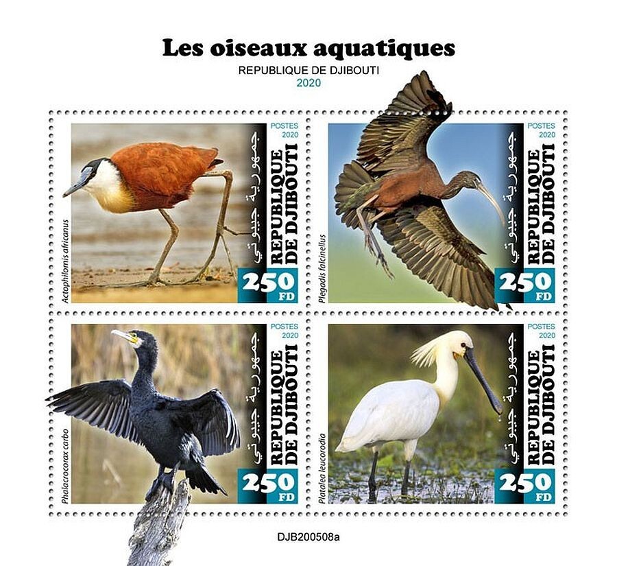 AQUATIC WATER BIRDS 4-Value MNH Bird Stamp Sheet #186 (2020 Djibouti)